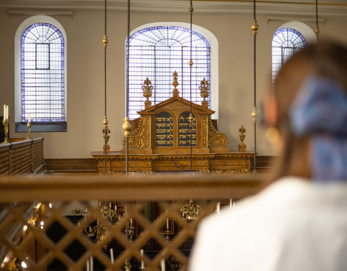 top of the Ark visible from the Ladies Gallery, woman in foreground looking